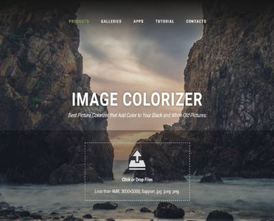 Image Colorizer