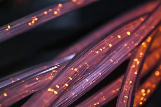 Fiber or Twisted Pair