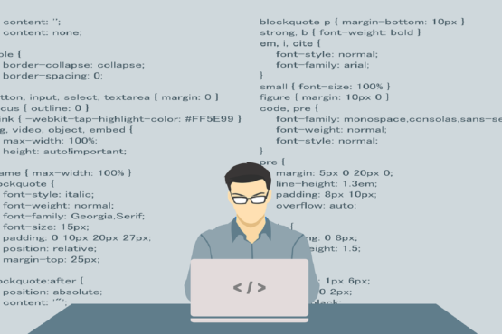 Web Developer