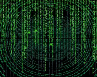 Sportsbook Software