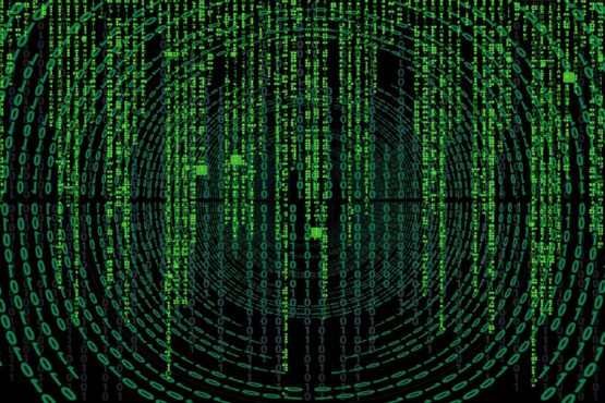 Sportsbook Software